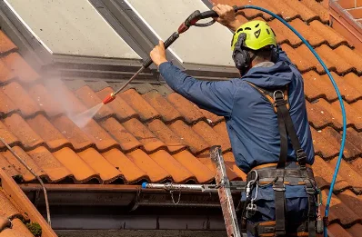 Démoussage et hydrofuge de toiture à Espiute
